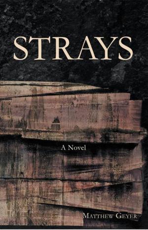 Cover of the book Strays by Maria Russo