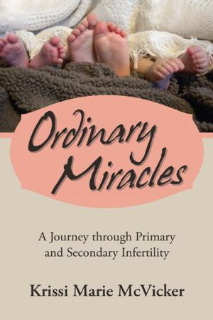 Cover of the book Ordinary Miracles by Teresa Henkle Langness