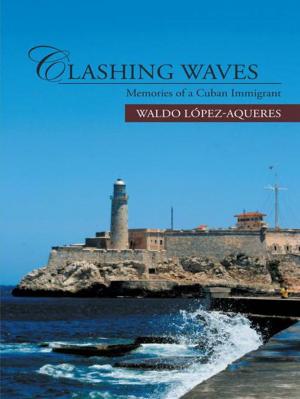 Cover of the book Clashing Waves by Carolin J.V. Milner
