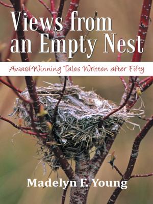 Book cover of Views from an Empty Nest