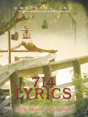 Cover of the book 714 Lyrics Book Ii by Mark Dudley