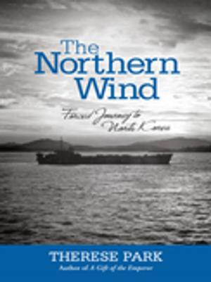 Cover of the book The Northern Wind by Andy Feld