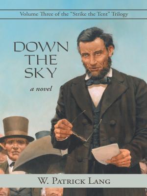 Cover of the book Down the Sky by Michael André Fath