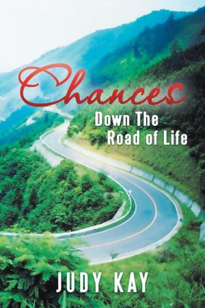 Cover of the book Chances by John Hinman