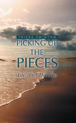 Cover of the book Picking up the Pieces by Rick Haltermann