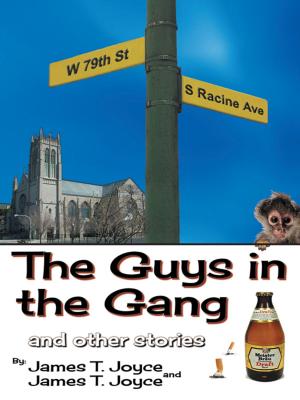 Book cover of The Guys in the Gang