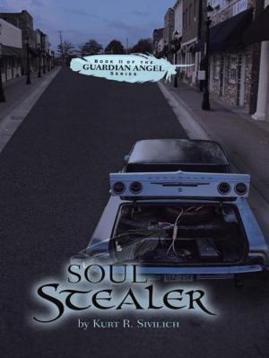 Cover of the book Soul Stealer by Steven Burgauer