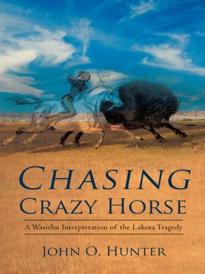 bigCover of the book Chasing Crazy Horse by 