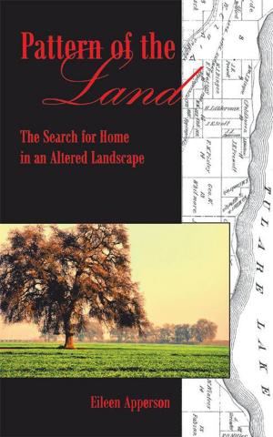 Cover of the book Pattern of the Land by Brenda K. O'Bella