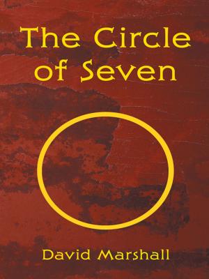 Cover of the book The Circle of Seven by Robert Manns