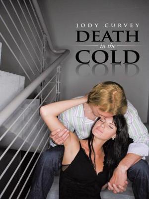 Cover of the book Death in the Cold by Stephen Butler