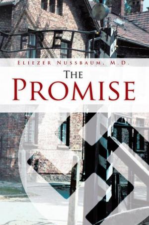 Cover of the book The Promise by D. W. Duke