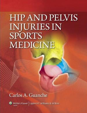 Cover of the book Hip and Pelvis Injuries in Sports Medicine by Robert J. Hoffman