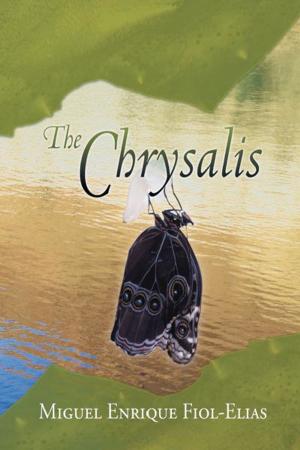 Cover of the book The Chrysalis by Zvi, Danny Rittman