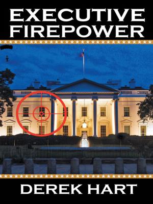 Cover of the book Executive Firepower by Bonnie Hillman Shay