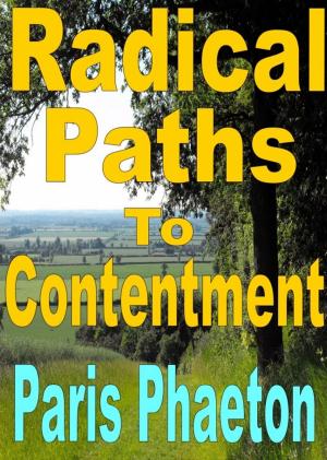 bigCover of the book Radical Paths To Contentment by 