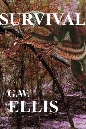 Cover of the book Survival by Ciara Ballintyne
