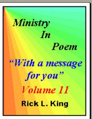 Cover of the book Ministry in Poem Vol 11 by Rick King