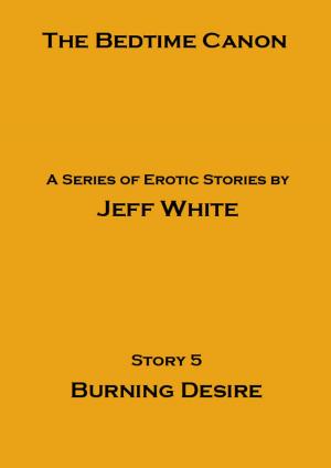 Book cover of Burning Desire