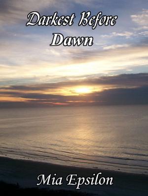 Cover of the book Darkest Before Dawn by Ursula Branscheid-Diebaté