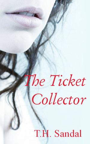 Book cover of The Ticket Collector