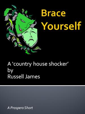 Cover of the book Brace Yourself by Chris Marr