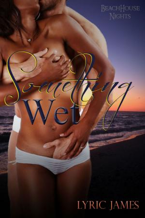 Book cover of Something Wet: Beach House Nights Book 2