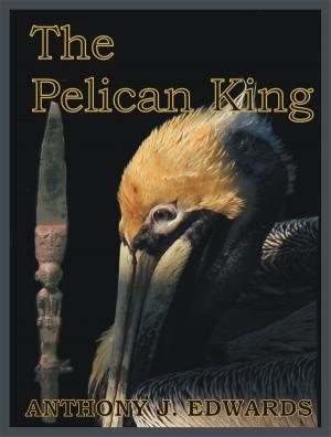 Cover of the book The Pelican King by Gillian Andrews