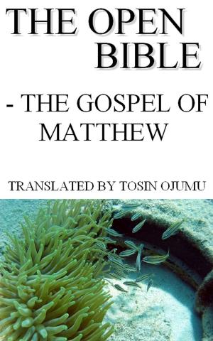 Book cover of The Open Bible: The Gospel of Matthew