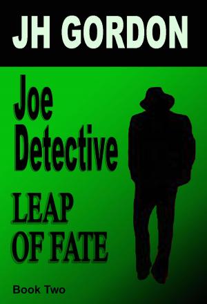 bigCover of the book Joe Detective: Leap of Fate (Book Two) by 