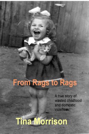 Book cover of From Rags to Rags