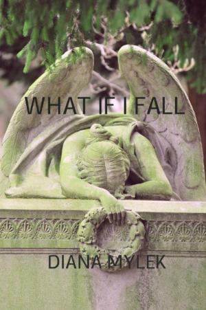Book cover of What if I Fall