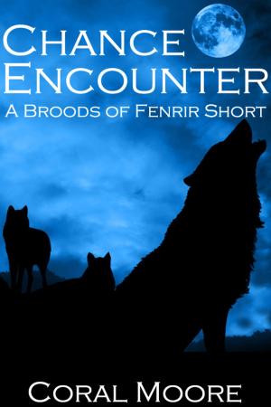 Cover of the book Chance Encounter by Mona Hanna