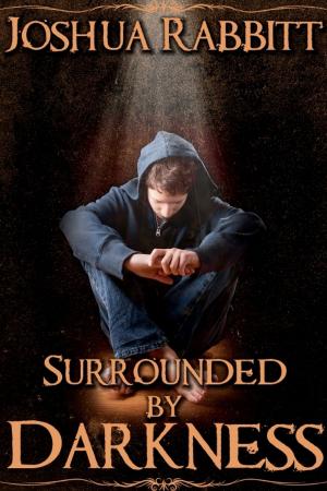 Cover of the book Surrounded by Darkness by Lisa Stubbs