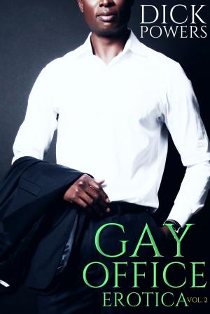 Book cover of Gay Office Erotica Vol. 2
