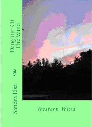 Book cover of Daughter Of The Wind: Western Wind