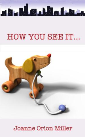 Book cover of How You See It