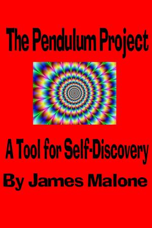 Book cover of The Pendulum Project