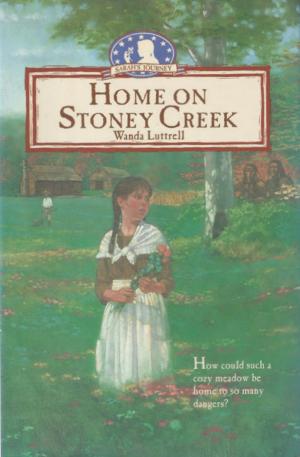Cover of the book Home on Stoney Creek by James Fenimore Cooper