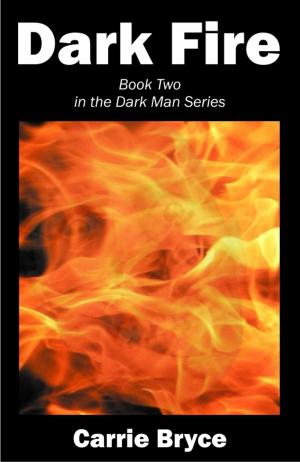 Cover of the book Dark Fire by Taylor Longford