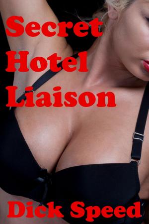 Book cover of Secret Hotel Liaison