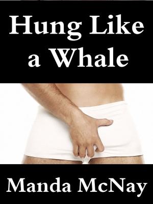 Cover of the book Hung Like a Whale by Mia Storm