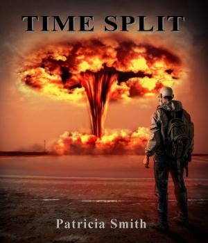 Book cover of Time Split
