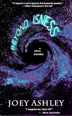 Cover of the book Beyond Isness by Sally Hanan