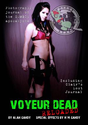 Cover of Voyeur Dead Reloaded