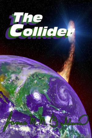 Book cover of The Collider