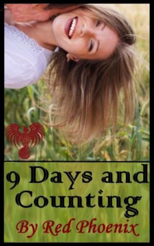 Cover of the book 9 Days and Counting by Michelle Stevens, Red Phoenix
