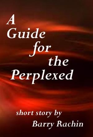 Book cover of A Guide for the Perplexed