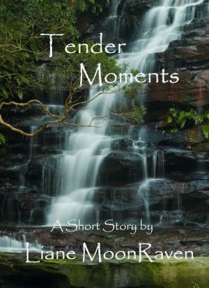Cover of the book Tender Moments by Jared Stephen