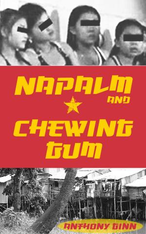 Cover of the book Napalm and Chewing Gum by Nicole Brook